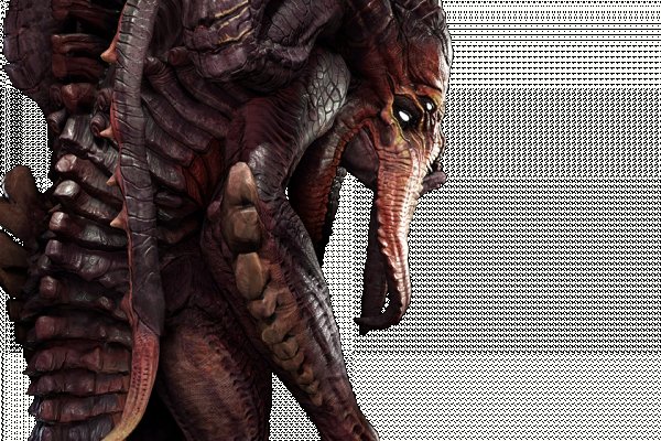 Kraken 13at