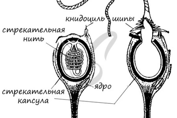 Кракен войти на сайт