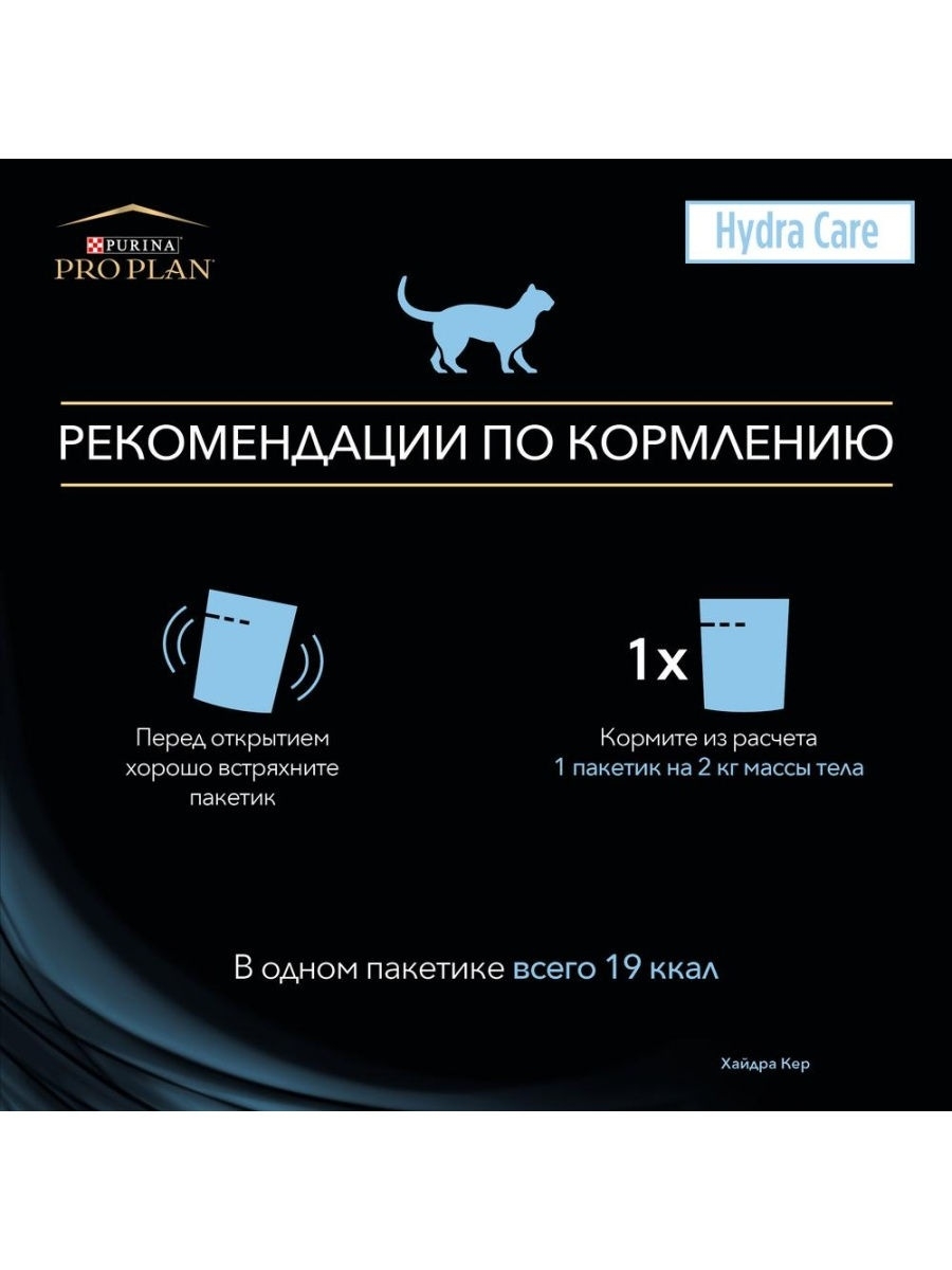 Кракен лег