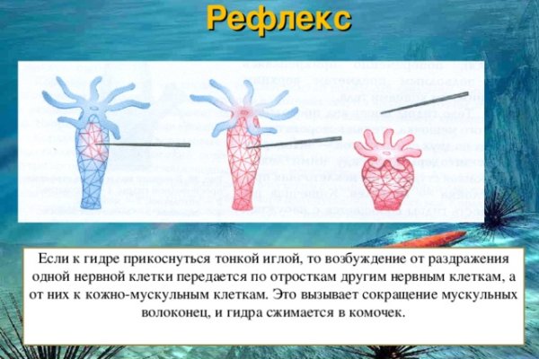 Ссылка кракен kr2web in