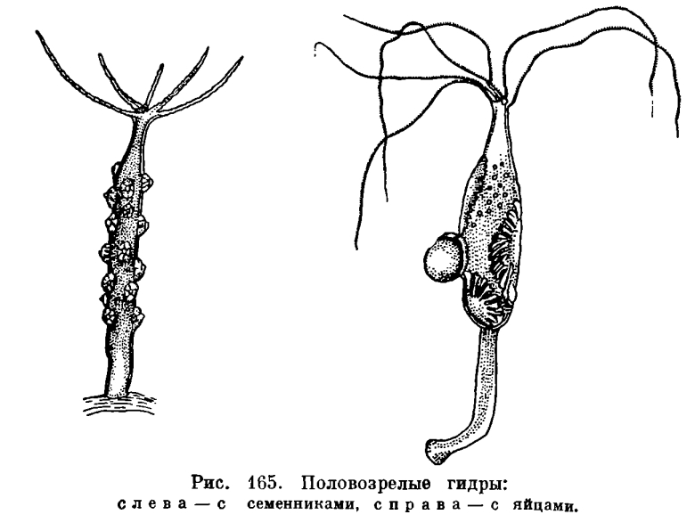 Войти даркнет